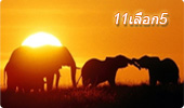thailand-lotto 11-5